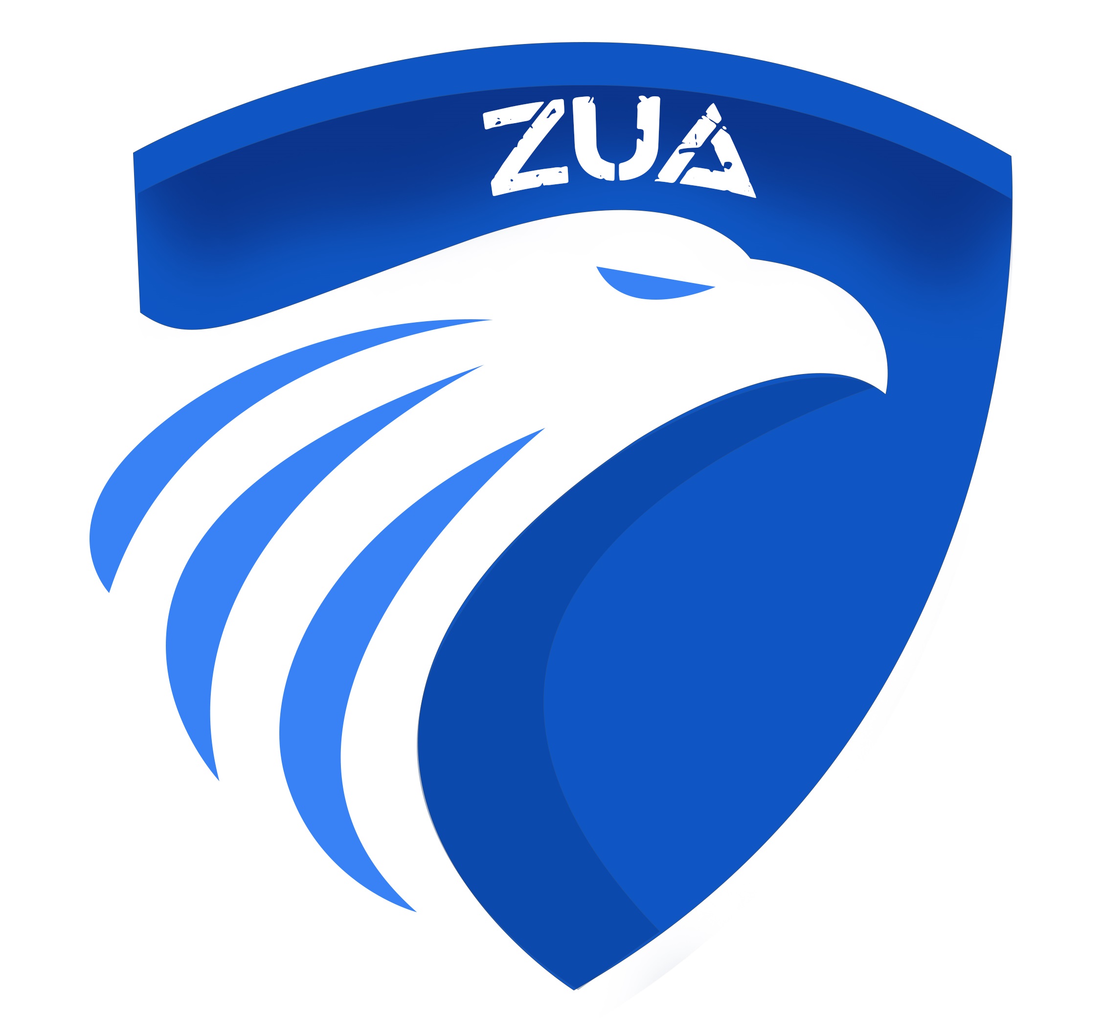 Zuea ZUA Connexion — Solutions Digitales Clés en Main pour PME en Afrique